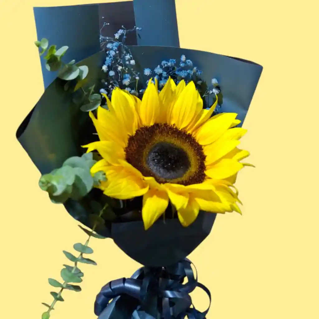 El Girasol Perfecto Para El Mejor Papá