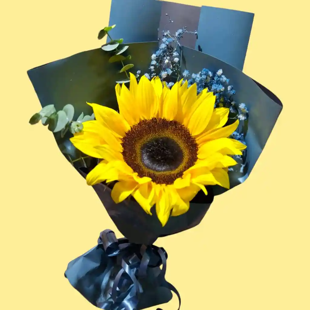El Girasol Perfecto Para El Mejor Papá