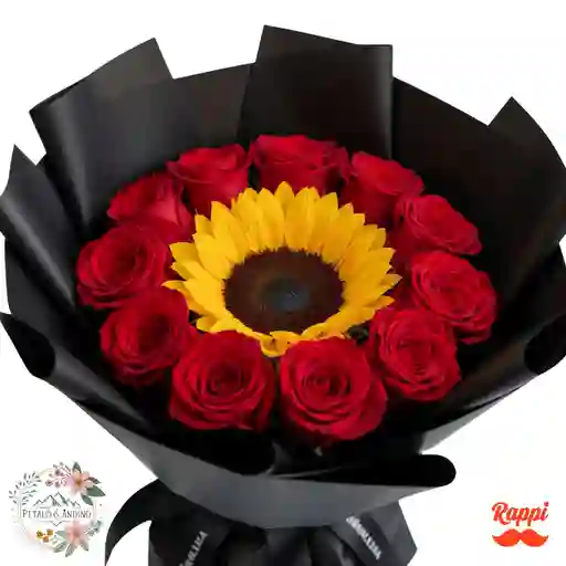 Corazon Radiante