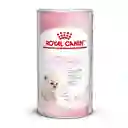 Royal Canin Babycat Leche 300g