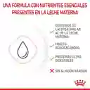 Royal Canin Babycat Leche 300g