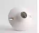 Plafon Roseta Plastica