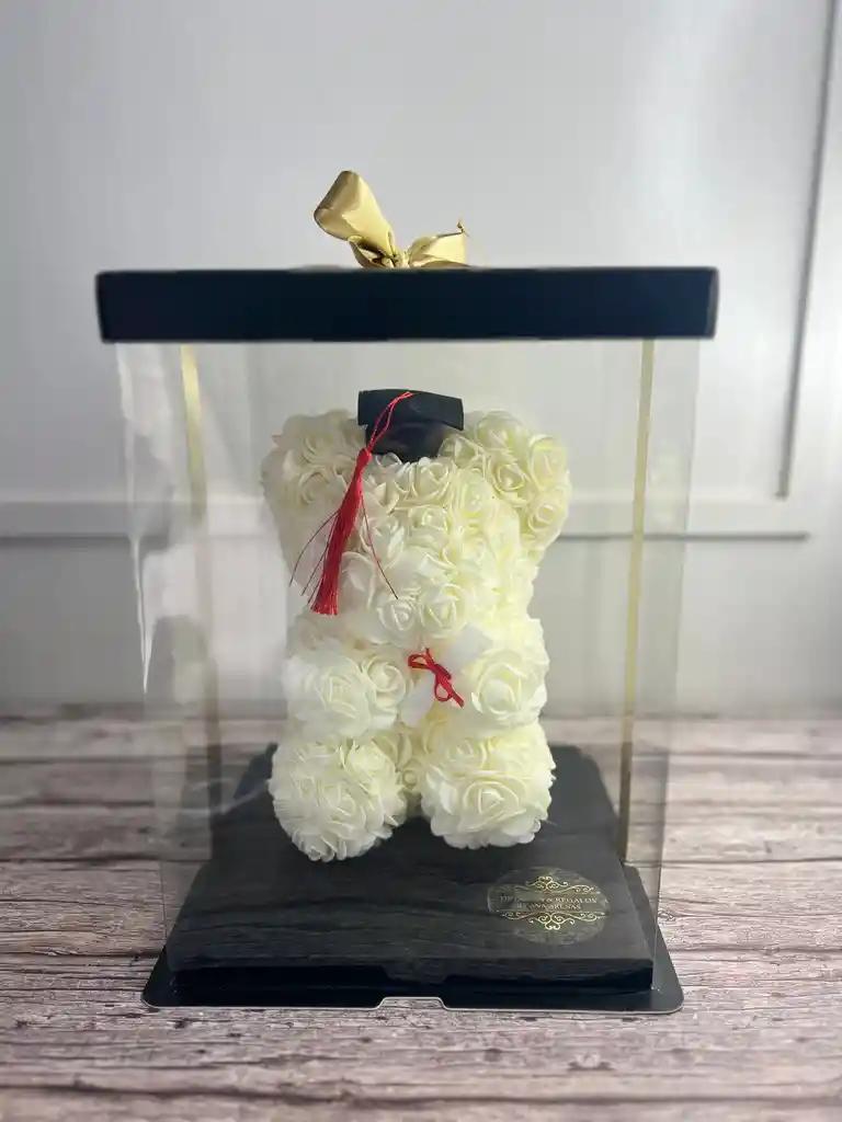 Oso Teddy De Graduación En Caja De Acetato
