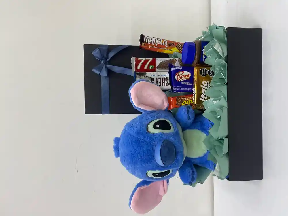 Ancheta De Peluche Y Dulces