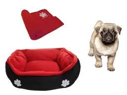 Cama Mediana Doble Faz + Cobija Grande Rojo