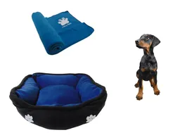 Cama Mediana Doble Faz + Cobija Grande Azul Claro