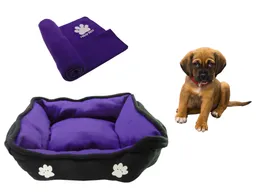 Cama Mediana Doble Faz + Cobija Grande Morado
