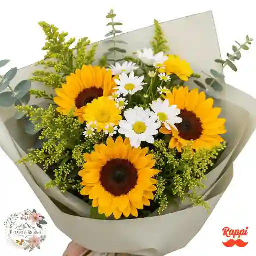 Alegría Girasol Y Margarita