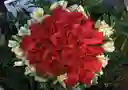 Buquet Mi Rosa