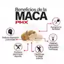 Potenciador Pmx (podermax) 120ml