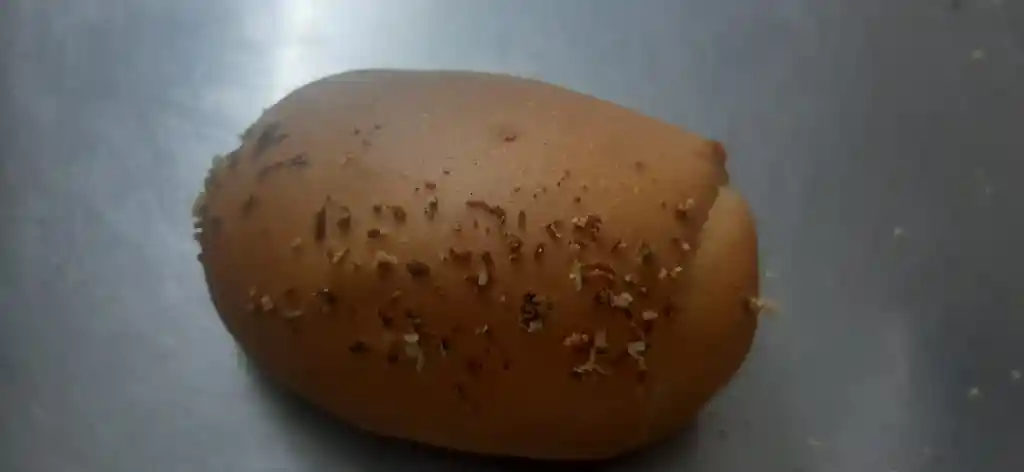 Pan Costeño