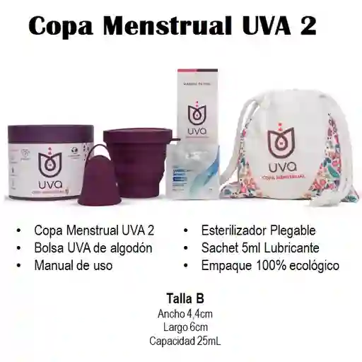 Copa Menstrual Uva 2 B