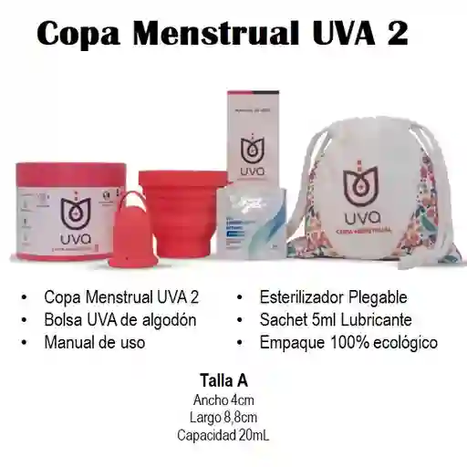 Copa Menstrual Uva 2 A