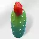 Matera De Nopal En Ceramica