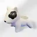 Matera Pequeña De Perrito