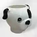 Matera De Perrito Blanco Con Manchas
