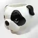 Matera De Perrito Blanco Con Manchas