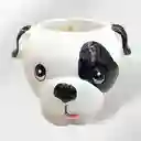 Matera De Perrito Blanco Con Manchas