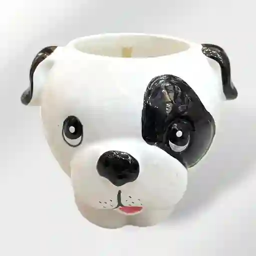 Matera De Perrito Blanco Con Manchas