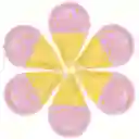 10 Platos Torta10 Vasos Desechables Fiesta Cono Helado Dulce