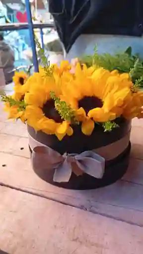 Pequeños Soles Para Un Gran Amor