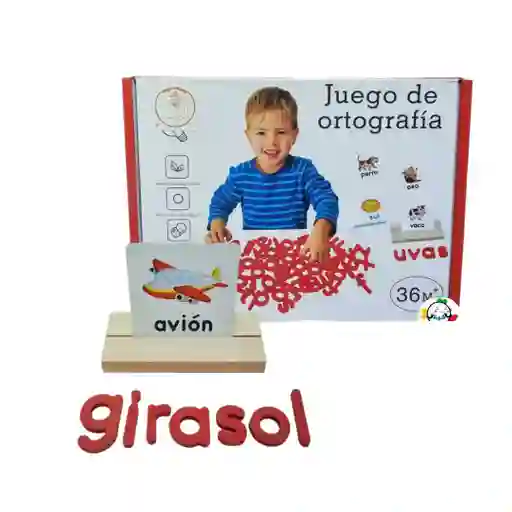 Juguete Didactico De Ortografía Palabras En Español Dm1039