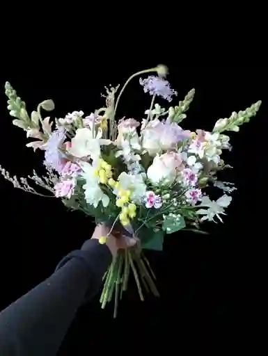 Elegancia Del Trópico