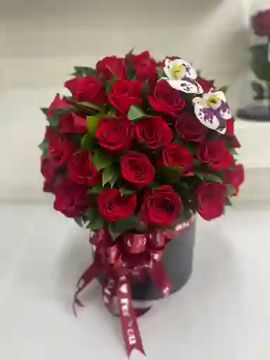 Rosa En Cilindro Mediano