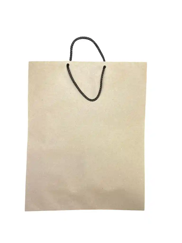 Bolsa De Regalo Kraft Lisa Grande 33x26cm
