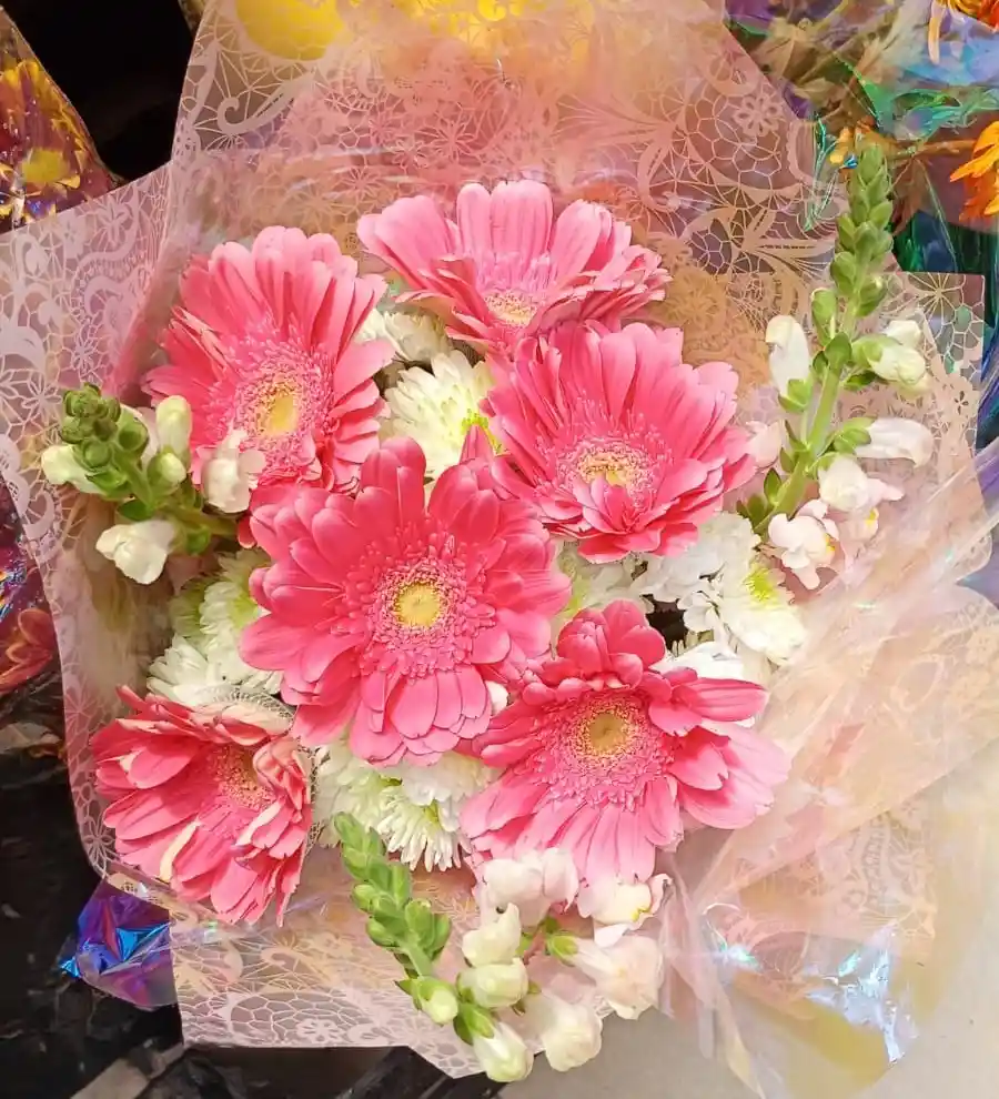 Ramo Gerberas