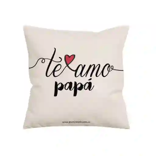 Cojín Regalo Papá Te Amo
