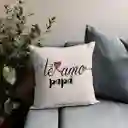 Cojín Regalo Papá Te Amo