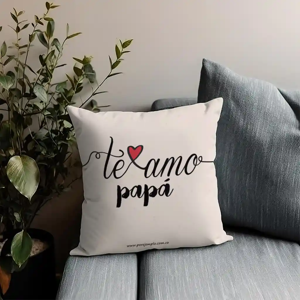 Cojín Regalo Papá Te Amo