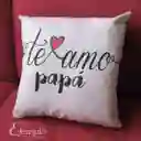 Cojín Regalo Papá Te Amo