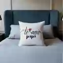 Cojín Regalo Papá Te Amo