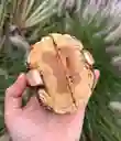 Cookietwix