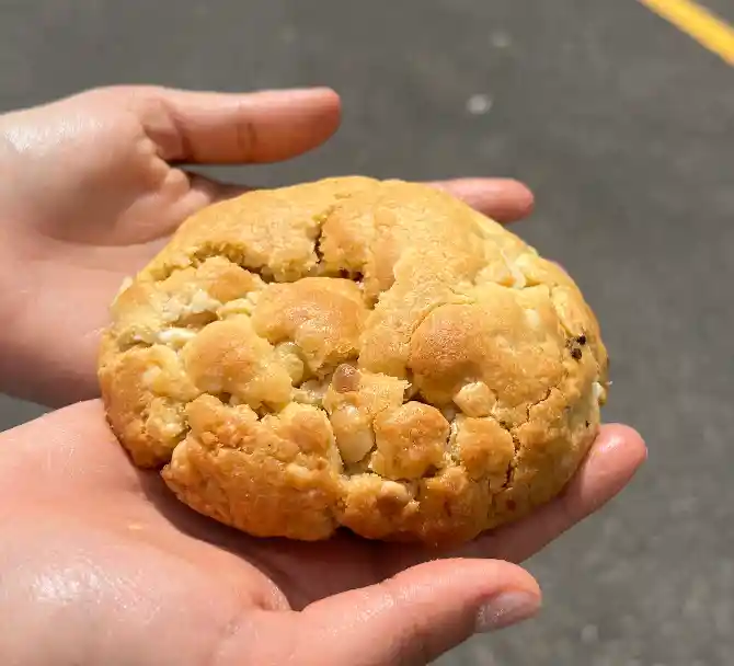 Macadamia