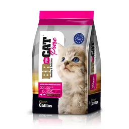 Br4cats Kitten Cats X3kl