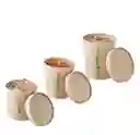 Envase Bambo 16 Onz Con Tapa X 10 Unds
