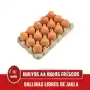 Huevos Doble A Rojos X 15 Unds