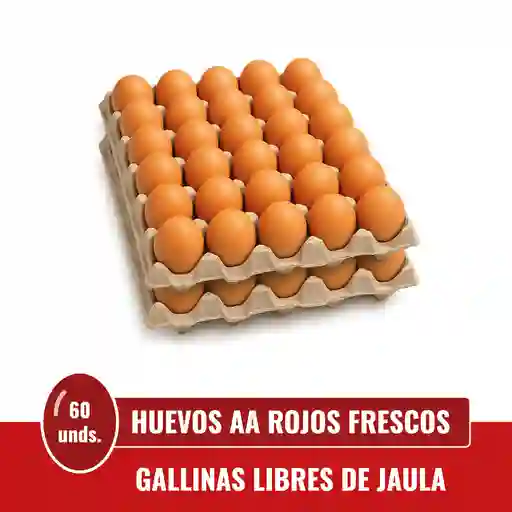 Huevos Doble A Rojos X 60 Unds