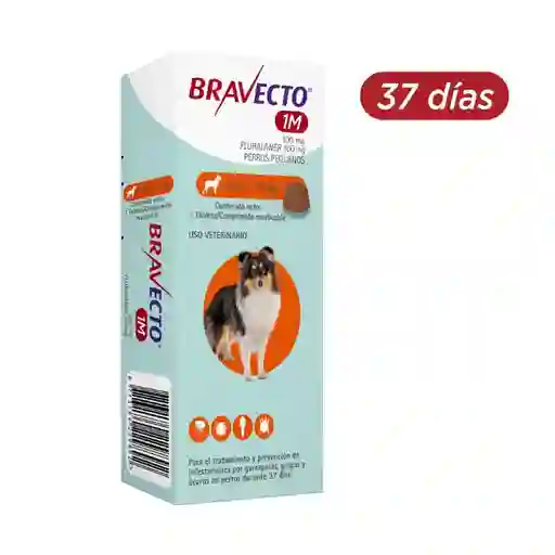 Bravecto 1 Mes (37dias) 100mg (4.5-10)