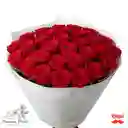 48 Rosas Rojas