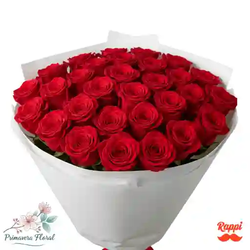 48 Rosas Rojas