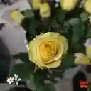 24 Rosas Amarillas