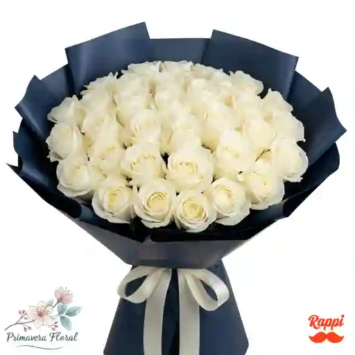 48 Rosas Blancas