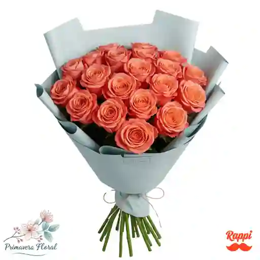 24 Rosas Color Salmon