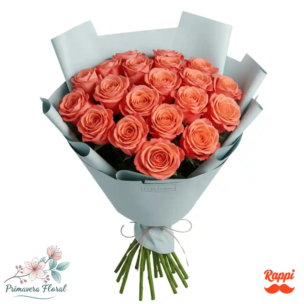 24 Rosas Color Salmon