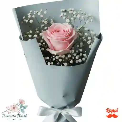 1 Rosa Rosado Claro