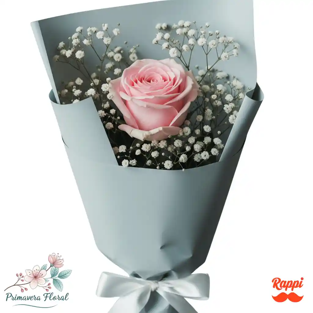 1 Rosa Rosado Claro